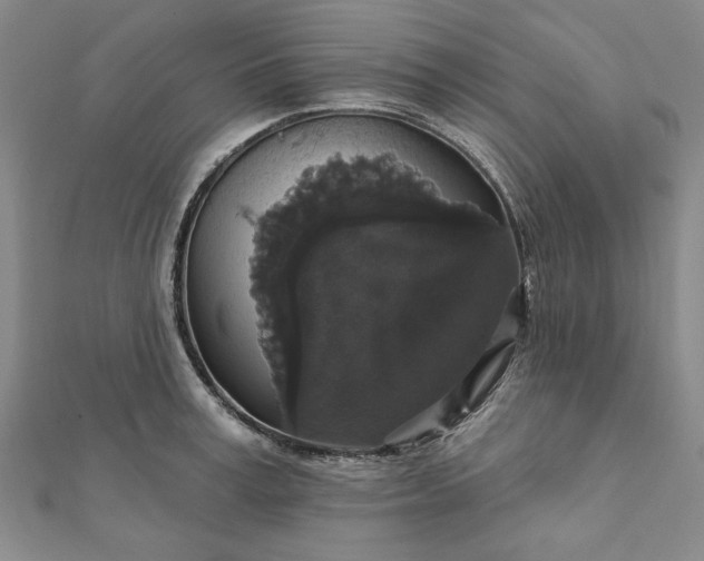 X0000111910995200908031134