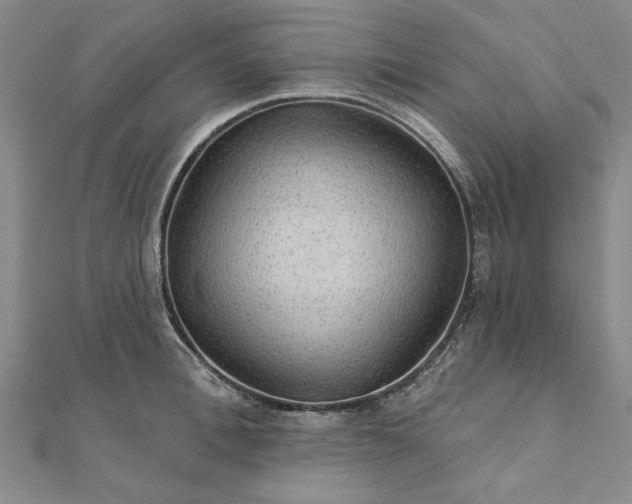 X0000111910996200908031134