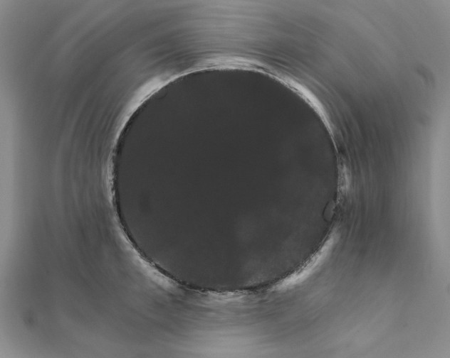 X0000111910997200908031134