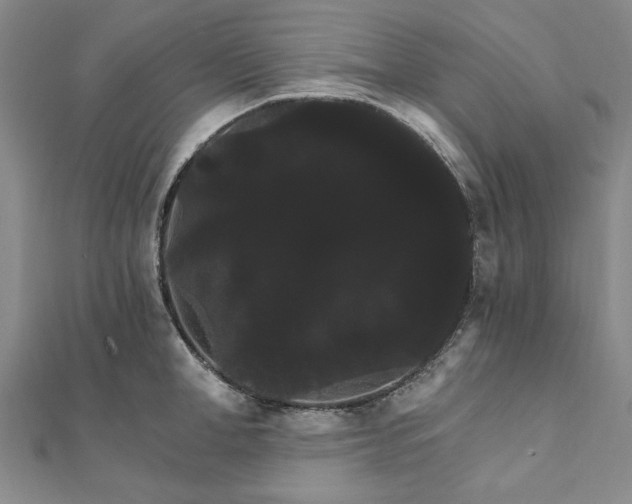 X0000111910998200908031134
