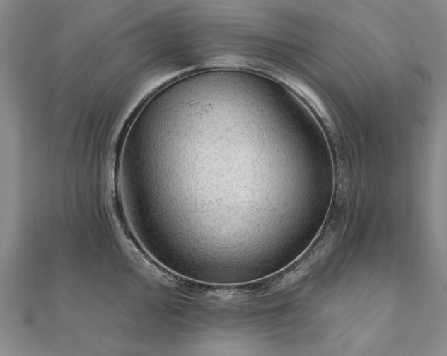 X0000111911000200908031134