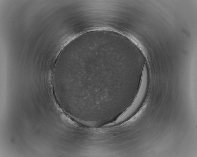 X0000111911001200908031134
