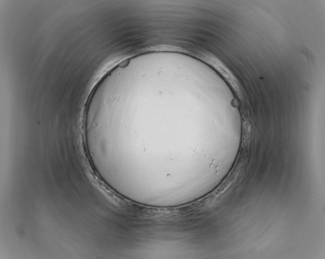 X0000111911002200908031134