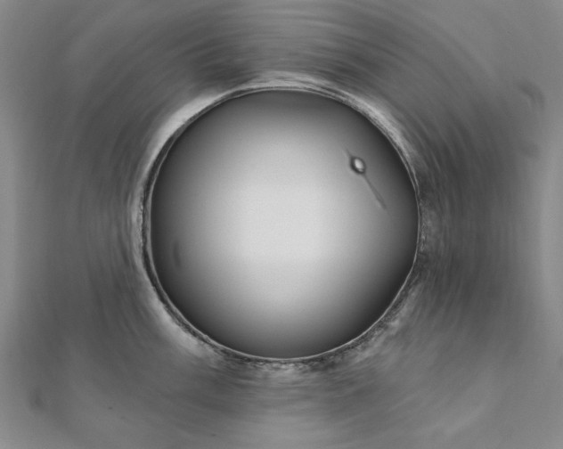 X0000111911003200908031134