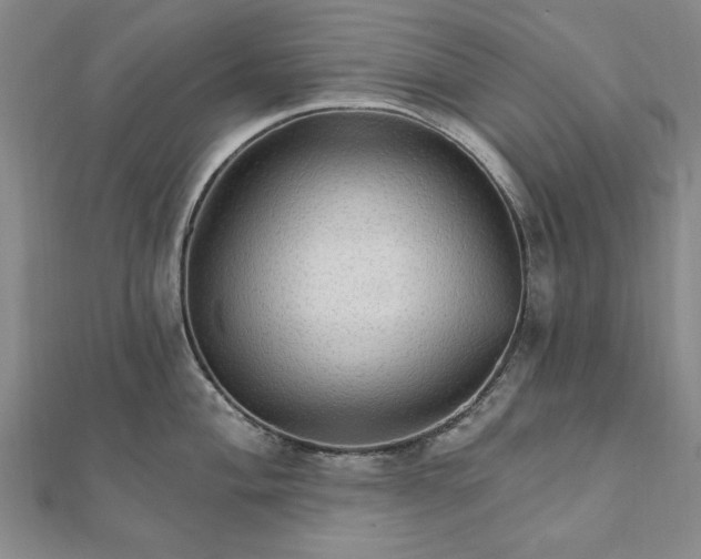 X0000111911004200908031134