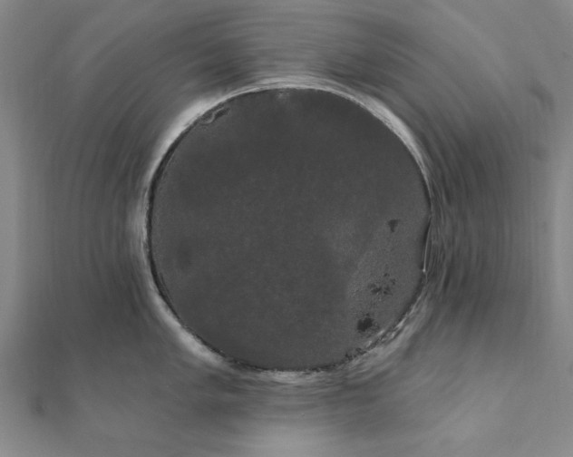 X0000111911005200908031134