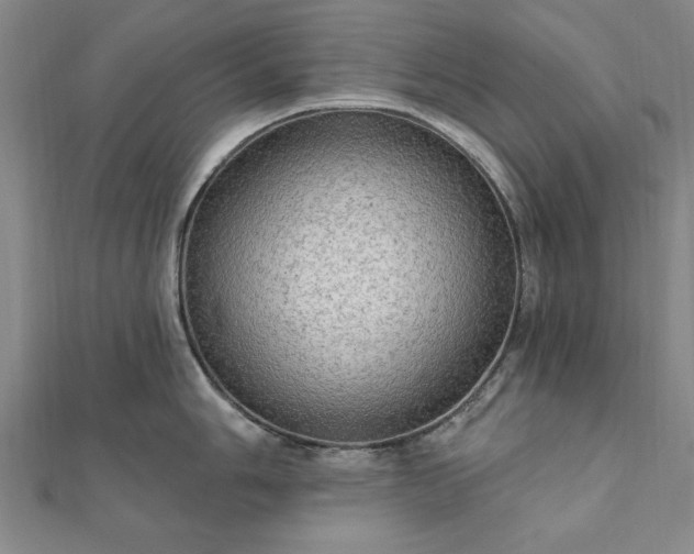 X0000111911006200908031134