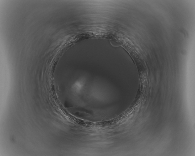 X0000111911009200908031133