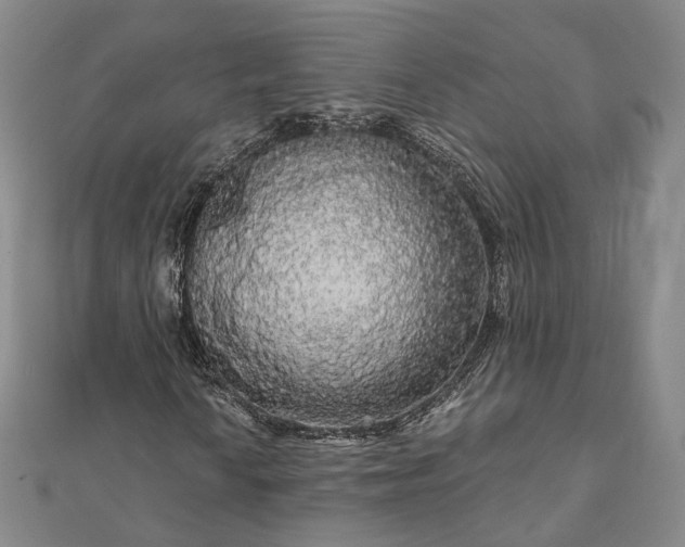 X0000111911010200908031133
