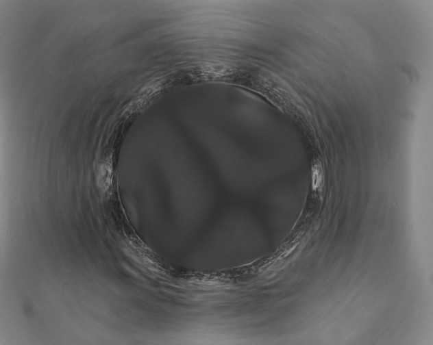 X0000111911011200908031133