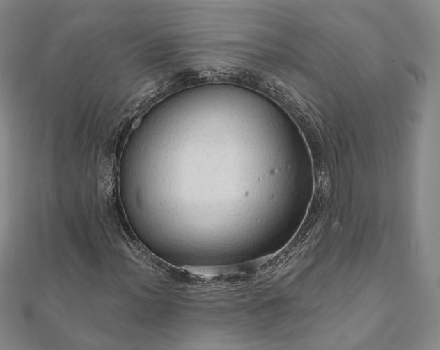 X0000111911012200908031133