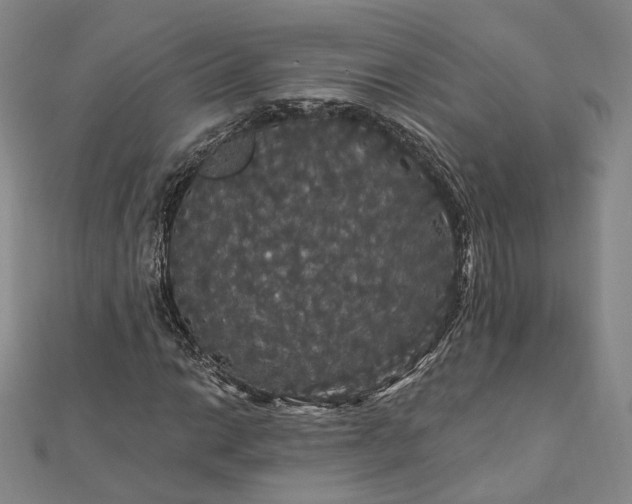 X0000111911014200908031133