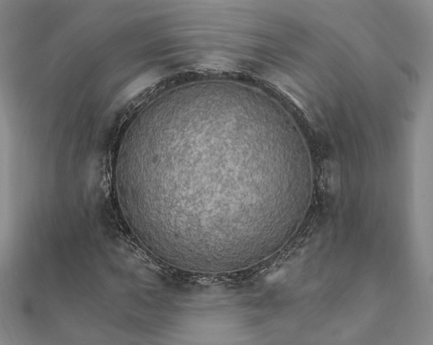 X0000111911015200908031133