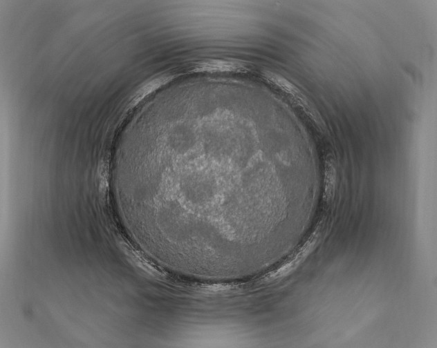 X0000111911017200908031133