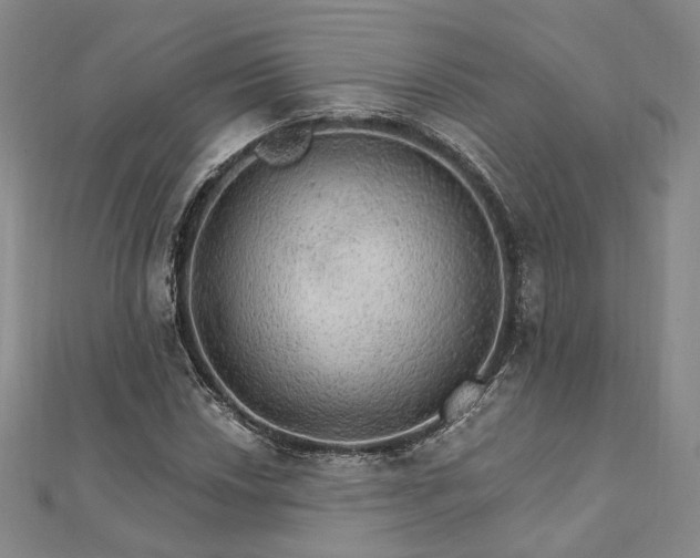 X0000111911018200908031133