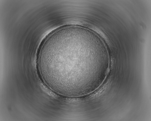 X0000111911020200908031133