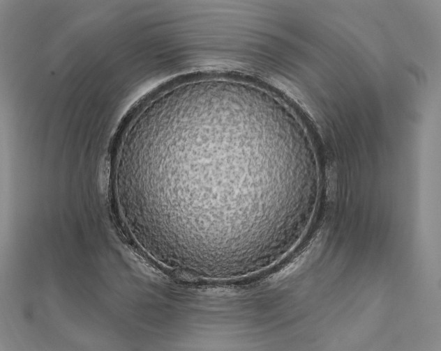 X0000111911021200908031133