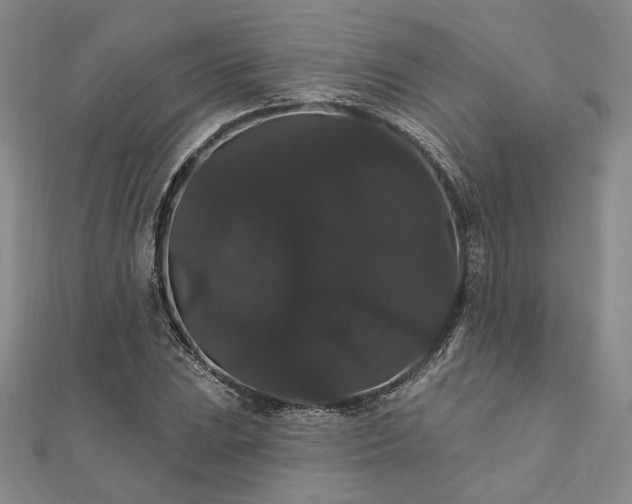 X0000111911023200908031133