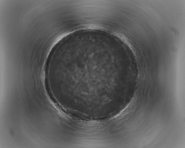 X0000111911024200908031133
