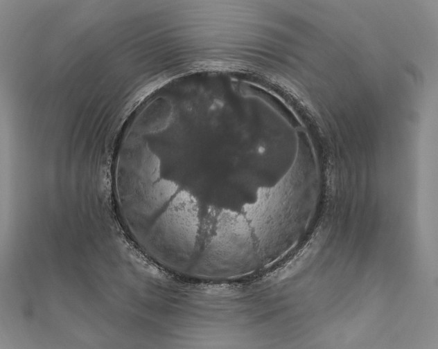 X0000111911025200908031133