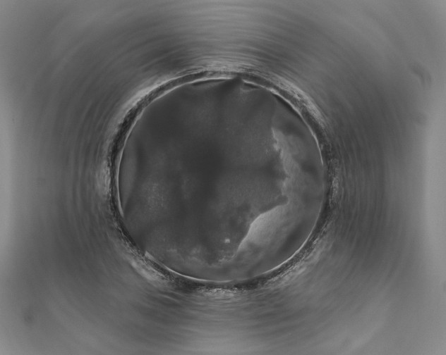 X0000111911027200908031133