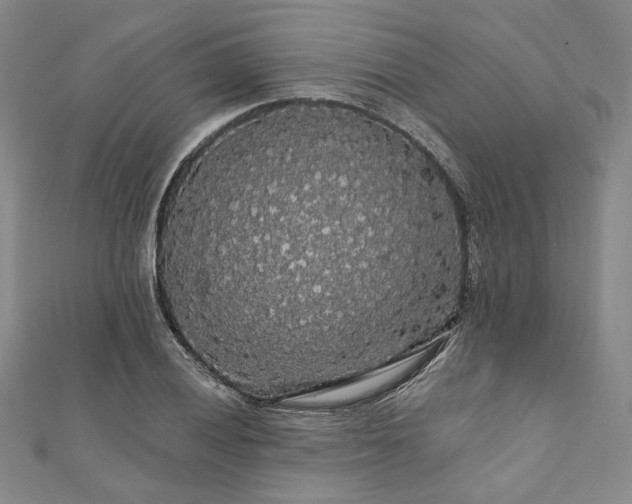 X0000111911028200908031133