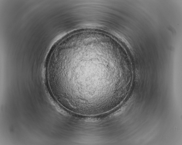 X0000111911029200908031133
