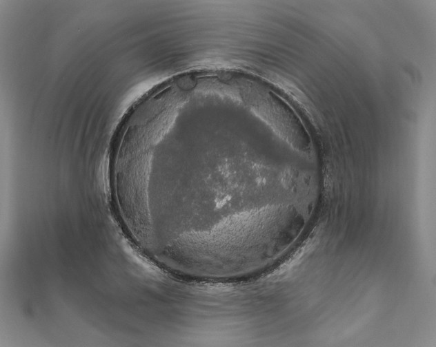 X0000111911030200908031133