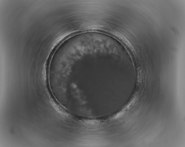 X0000111911031200908031133