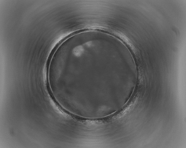 X0000111911032200908031133