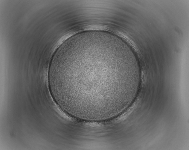 X0000111911033200908031133