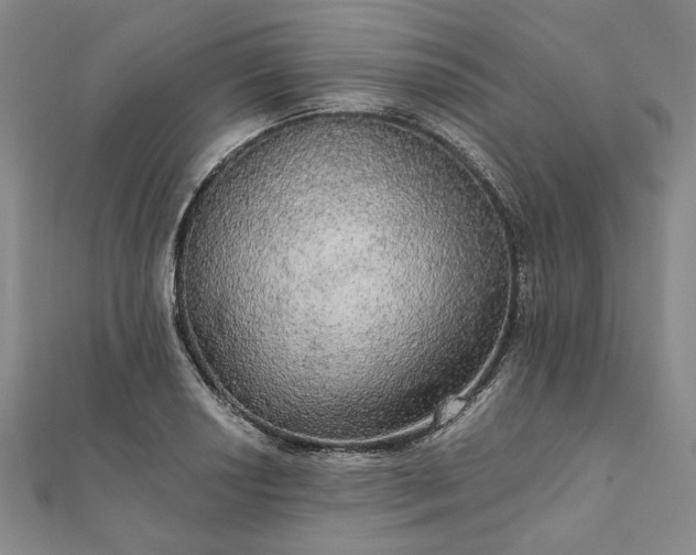 X0000111911034200908031133
