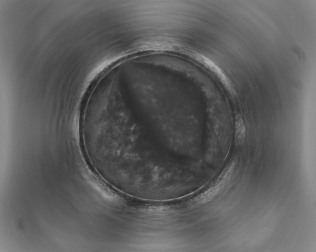 X0000111911035200908031133