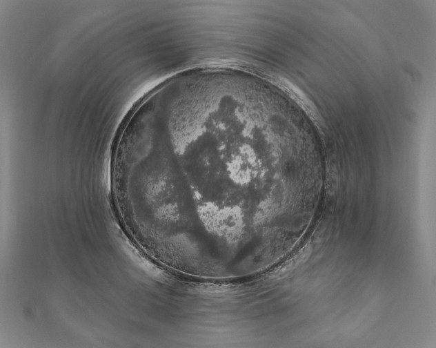 X0000111911036200908031133