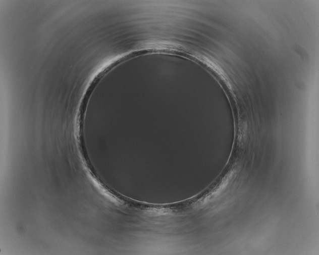 X0000111911037200908031133