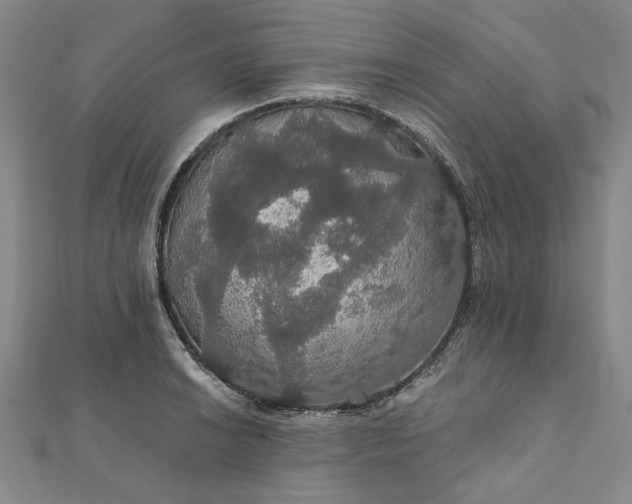 X0000111911038200908031133