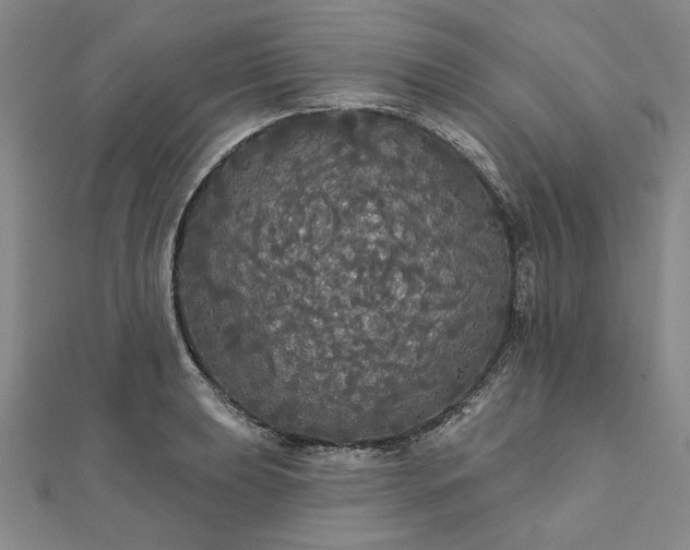 X0000111911039200908031133