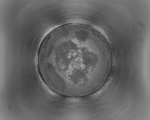 X0000111911040200908031133