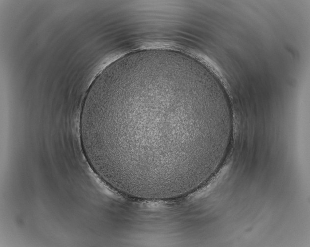 X0000111911041200908031133