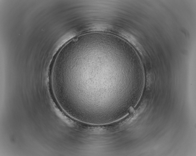 X0000111911042200908031133