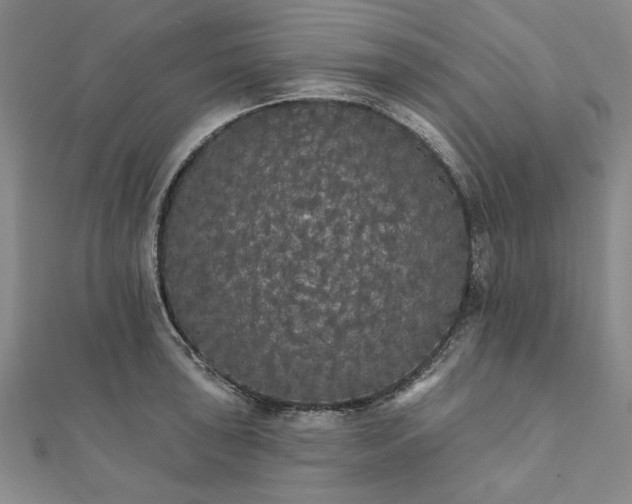 X0000111911043200908031133