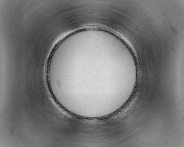 X0000111911045200908031134