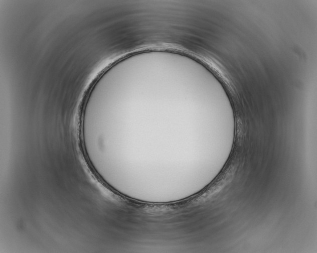 X0000111911046200908031134
