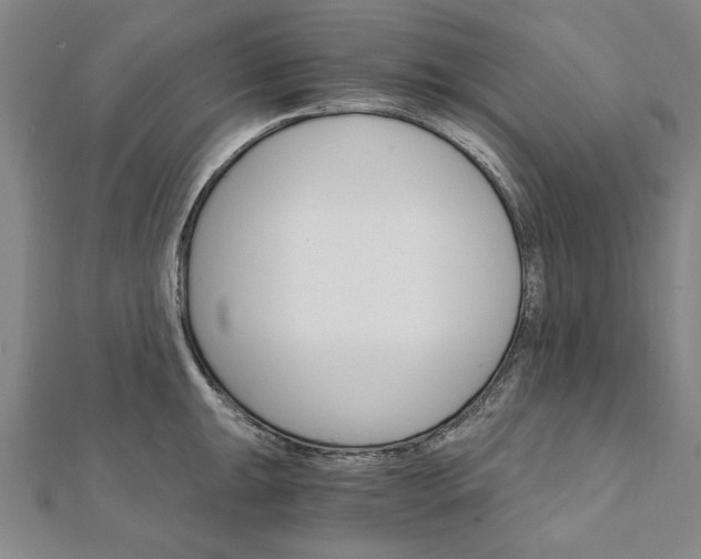 X0000111911047200908031134