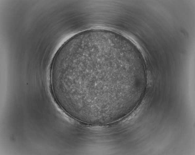 X0000111911048200908031134