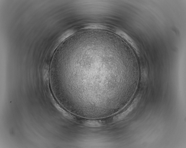 X0000111911049200908031134