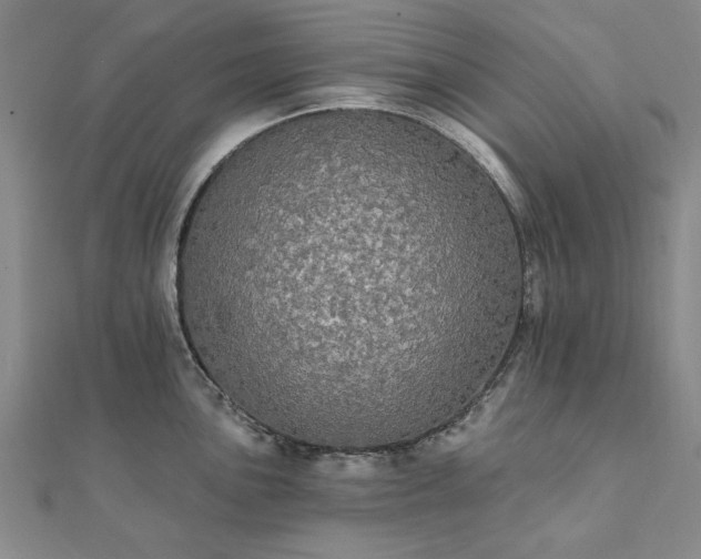 X0000111911051200908031134
