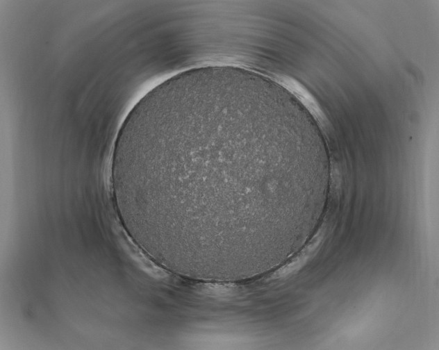 X0000111911052200908031134