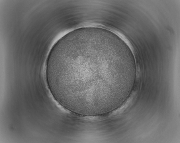 X0000111911053200908031134
