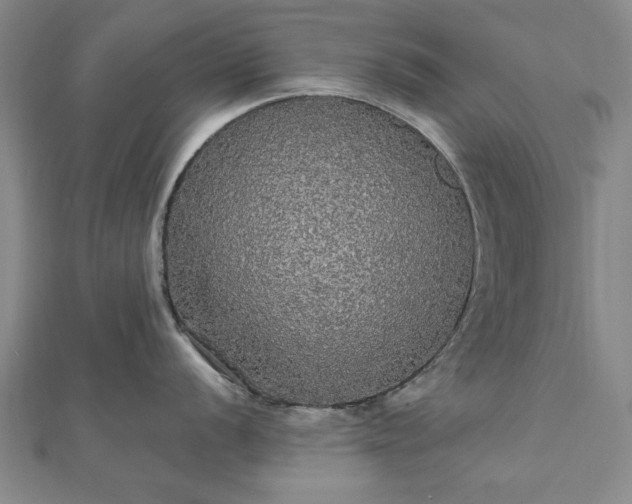 X0000111911056200908031134